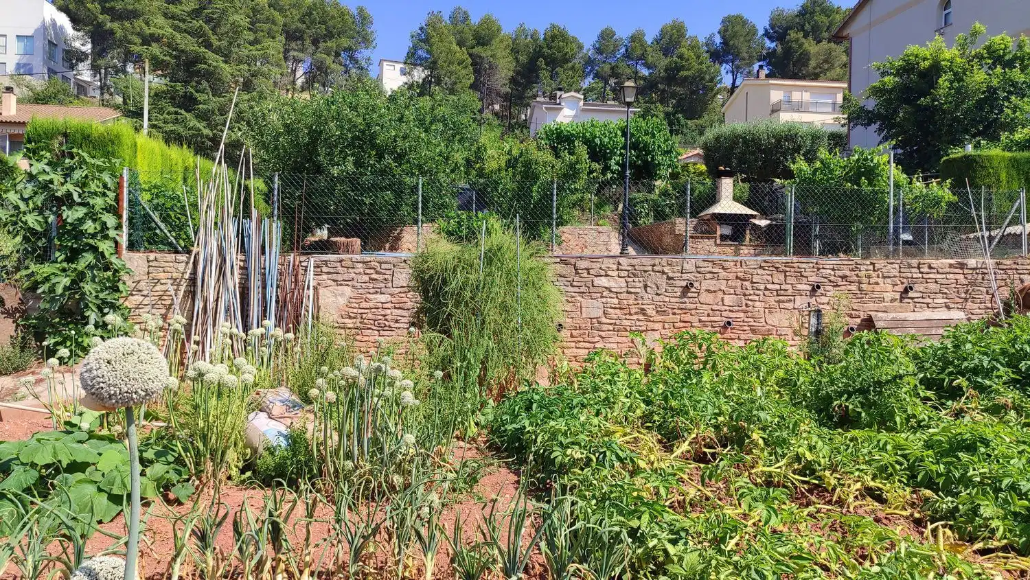 Terreny rústic en venda a Corbera de Llobregat, imagen 5