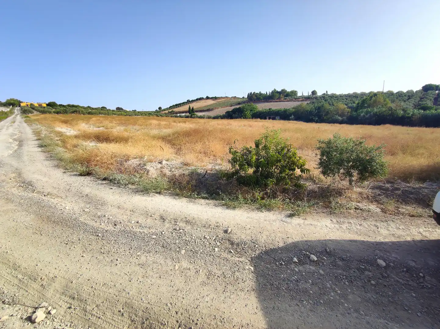 Terreno en venta en El Cuervo de Sevilla