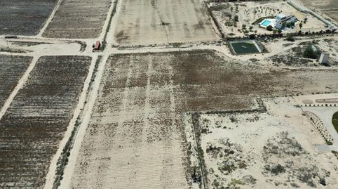FANTASTICAS PARCELAS EN EL MOLAR ELCHEPresentamos cinco exclusivas parcelas de 10,000 mÂ cada una, situadas en la privilegiada zon, imatge 5