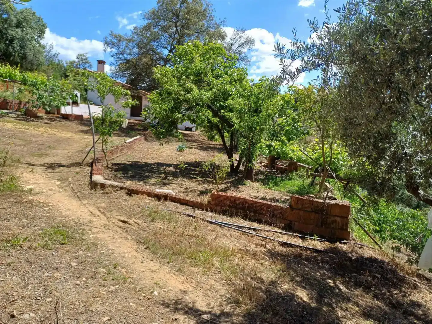 Grundstücke zum Verkauf in Castañar de Ibor