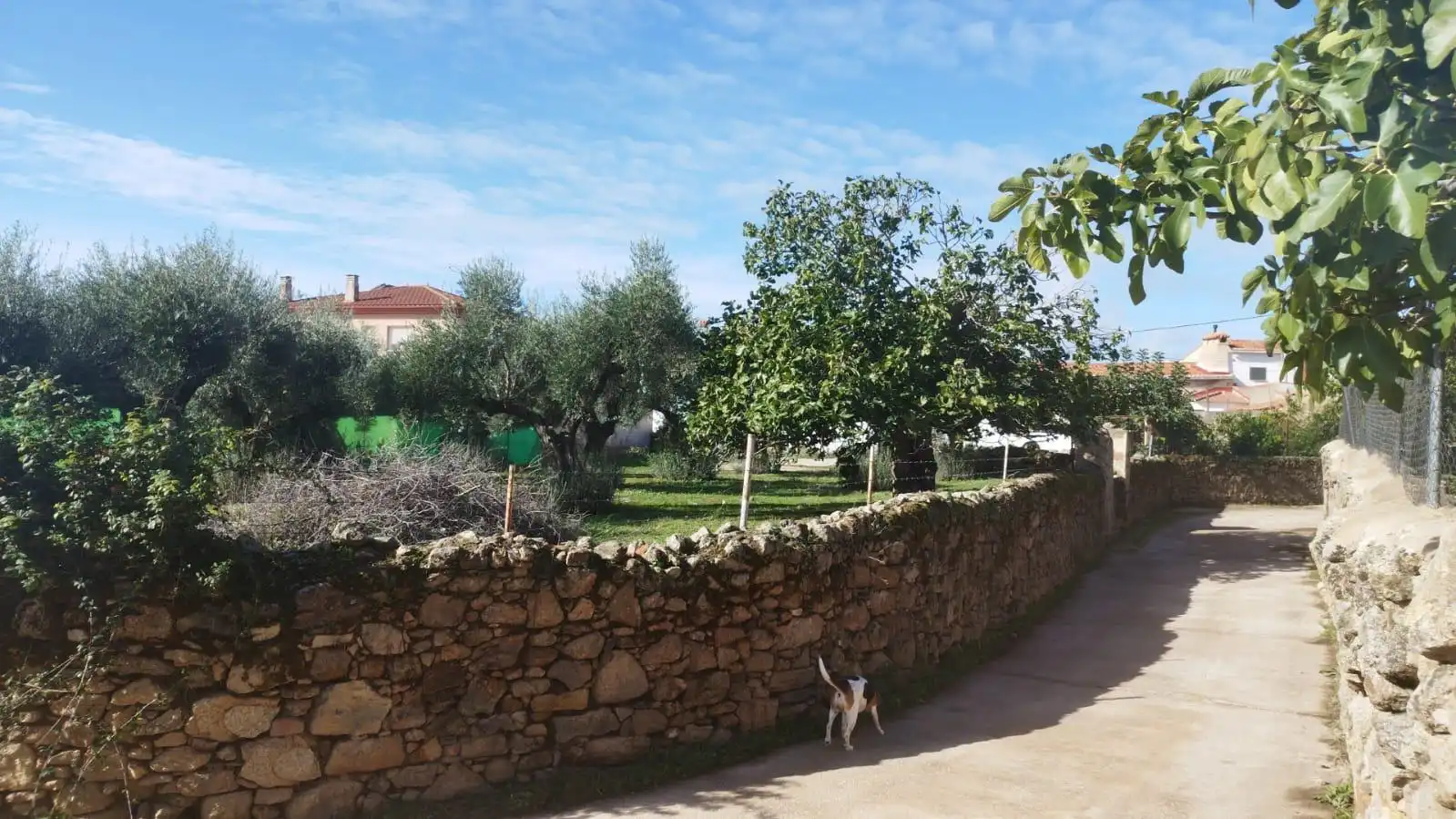 Terreni e lotti in vendita a Aldea del Cano, imagen 4