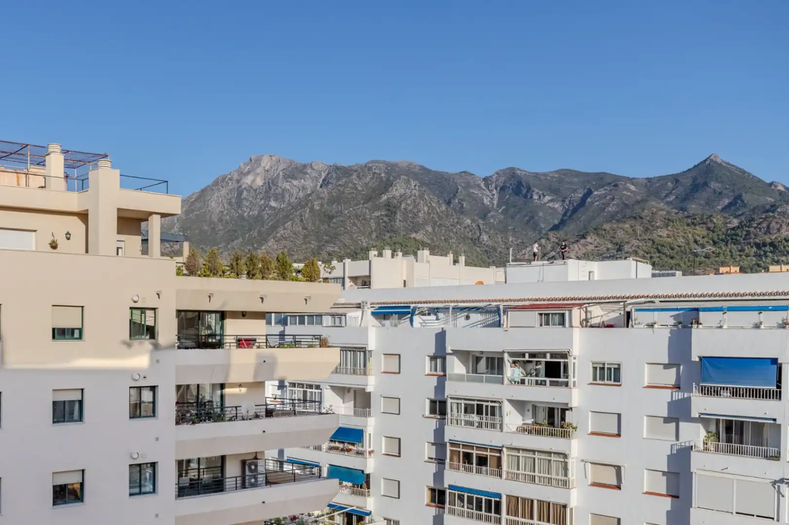 Flat for rent in Ricardo Soriano