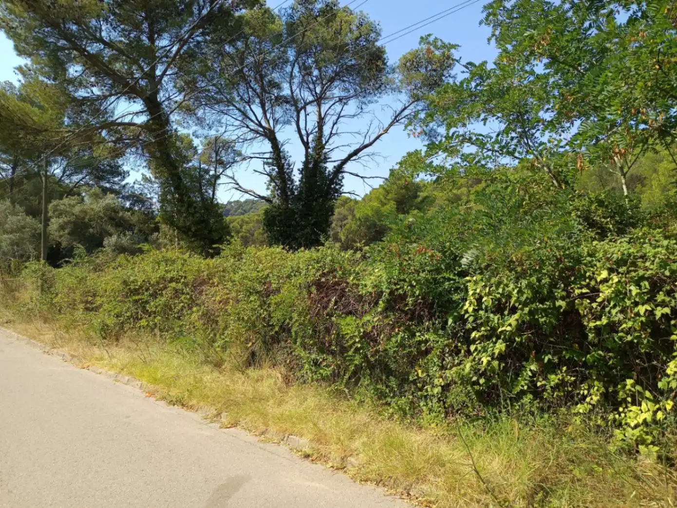 Residencial en venda en Palafrugell