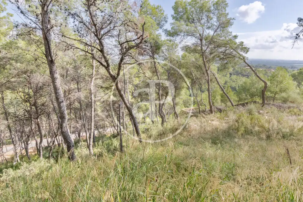 Terreno residenziale in vendita a El Bosque, imagen 18