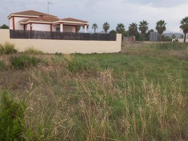Terreny residencial en venda a Almenara