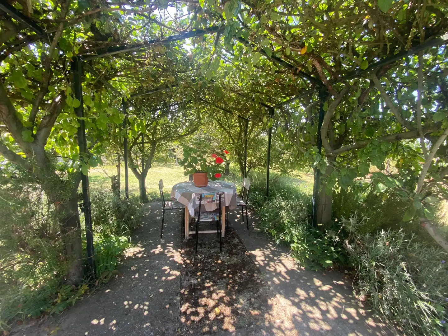 Maison avec jardin à vendre à Medina de Pomar