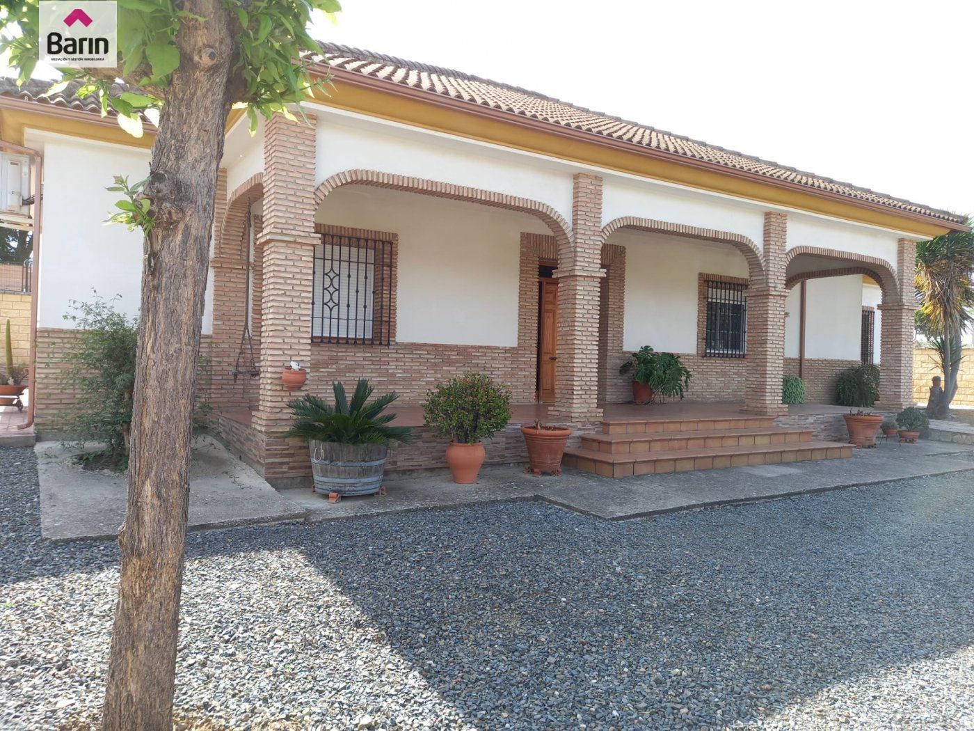 Finca rústica en venda a Alcolea
