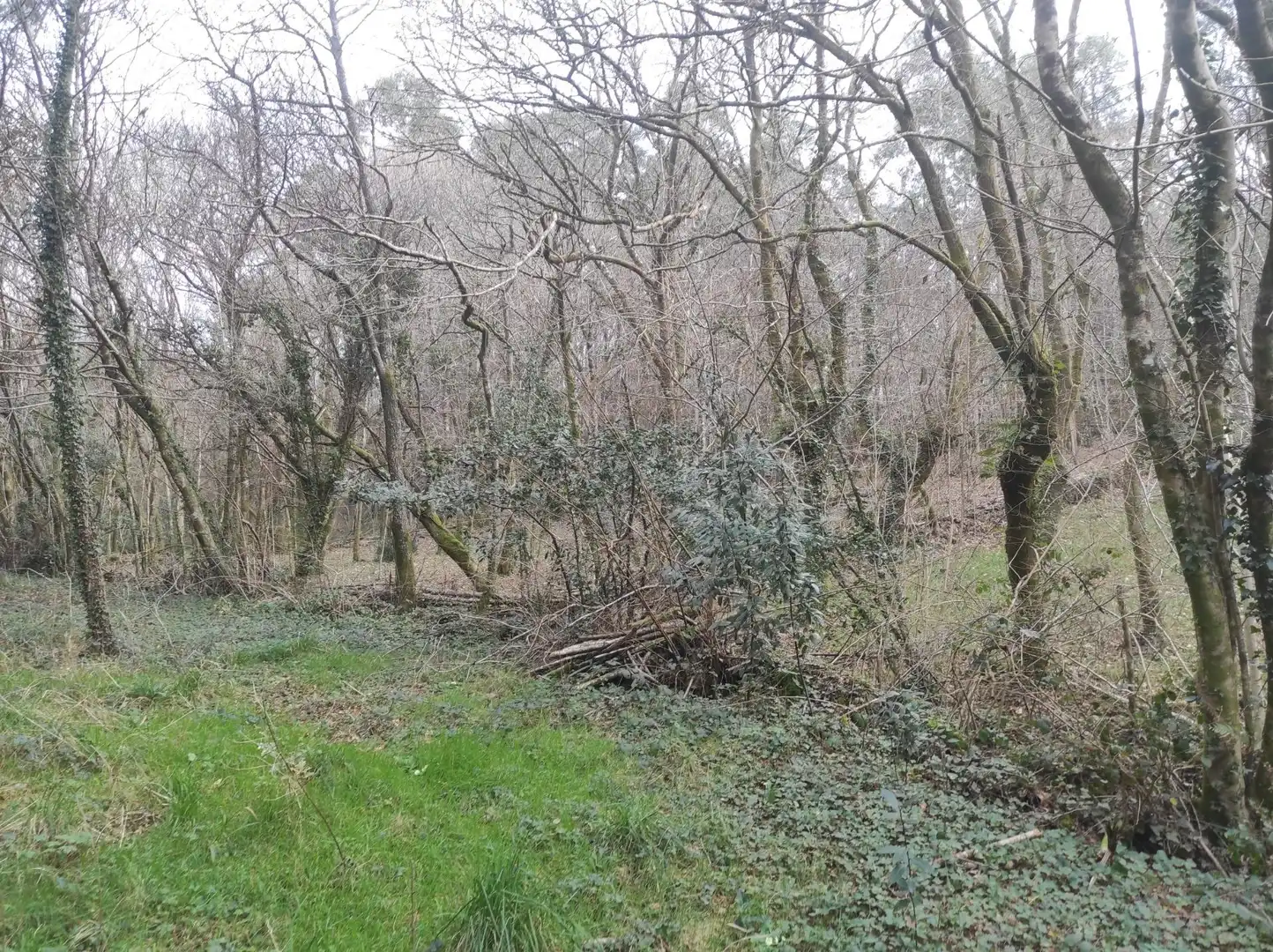 Terreni e lotti in vendita a Lugar PINAR DE ABAIXO., imagen 10