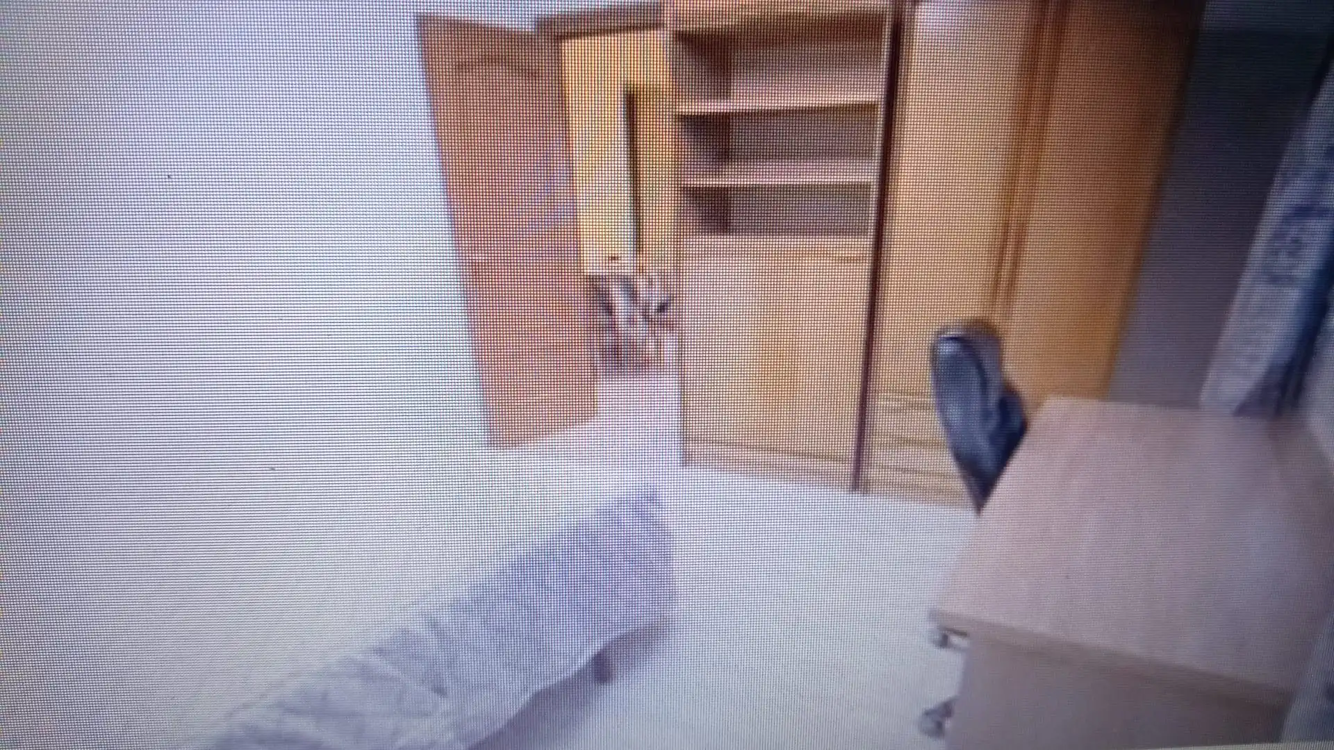 Piso con ascensor en alquiler en Calle Cañaveral, imagen 5