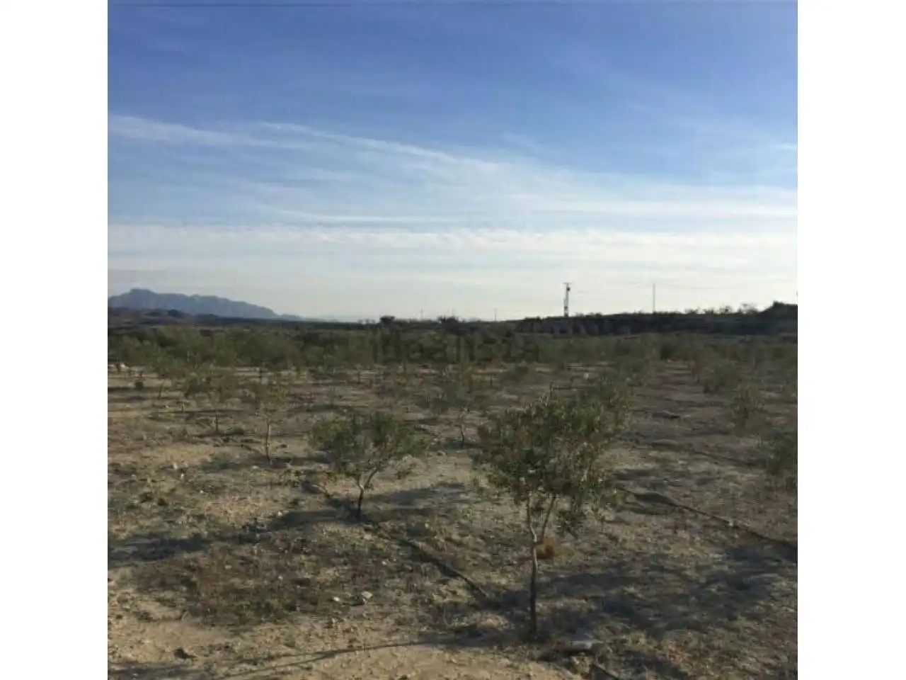 Rural land for sale in Calle MAYOR, imagen 5