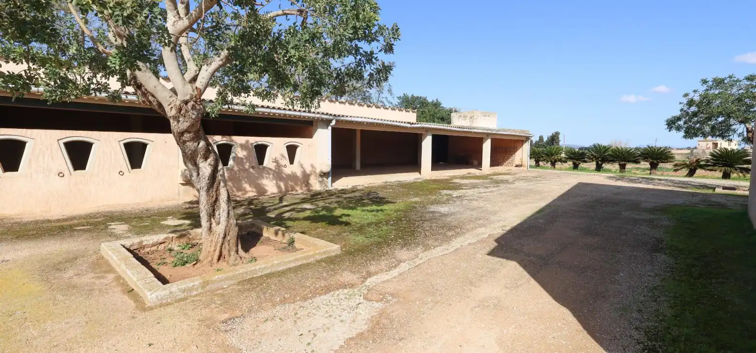 Maison avec jardin à vendre à Inca - Carrer del Rei, imagen 43