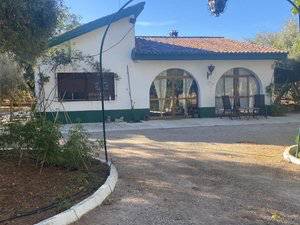 Finca rústica en Alquiler en Partidas Norte