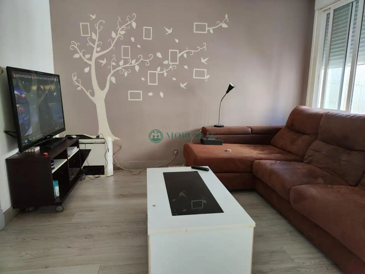 Appartamento con ascensore in vendita a MANUEL PEREIRA, imagen 2