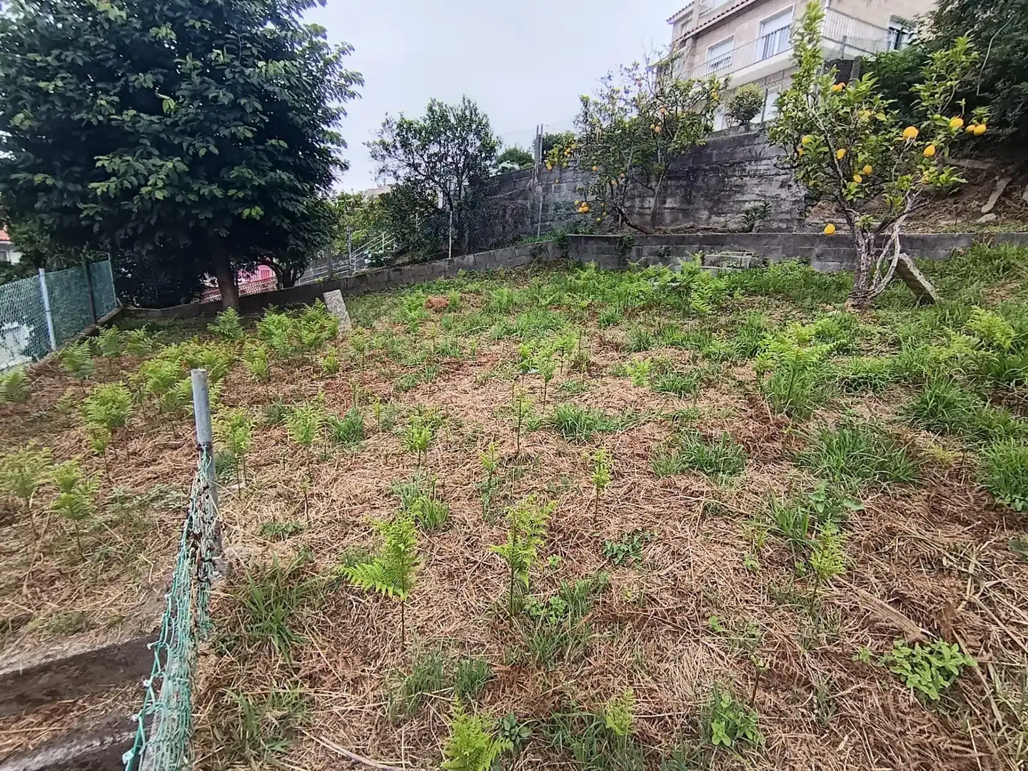 Casa en venta en Raxó, imagen 16