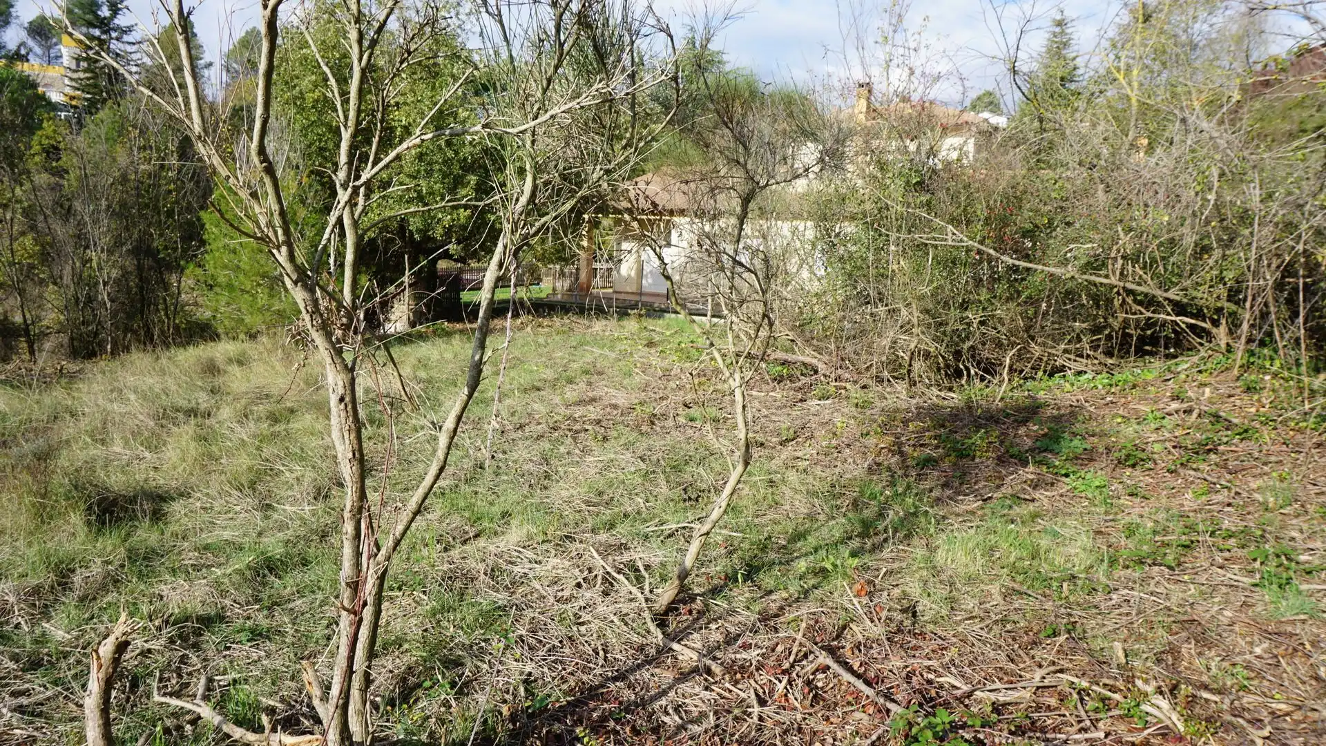 Grundstücke und Bauplätze zum Verkauf in Lluis Companys, imagen 9