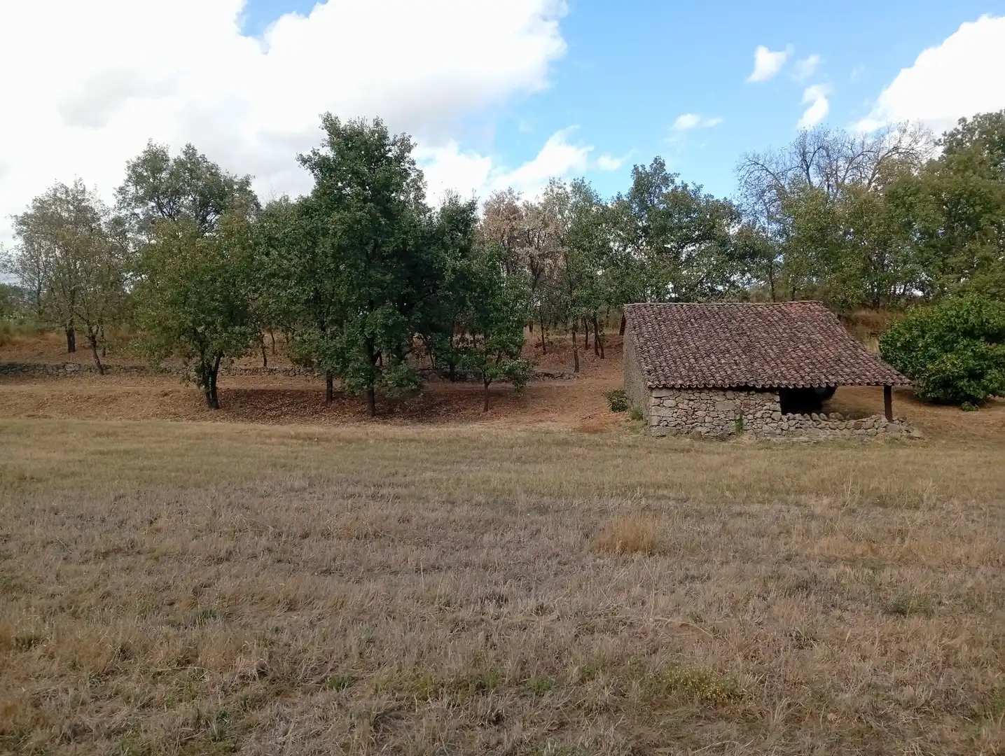 Terreni e lotti in vendita a Villanueva de la Vera, imagen 74