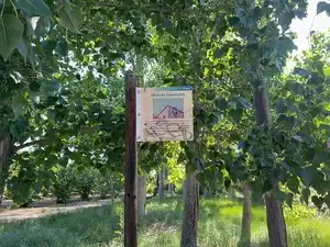 Terreno rustico in vendita a Carrer Sant Pere 1, imagen 16