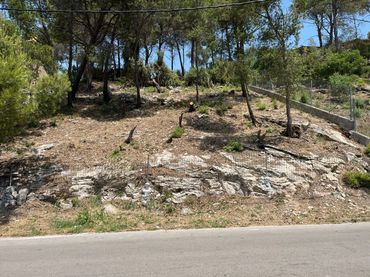 Terreni e lotti in vendita a Vallirana