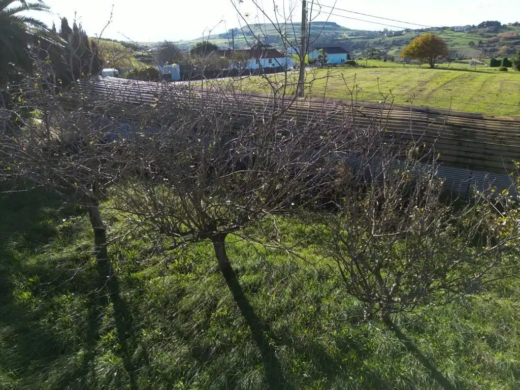 Country homes for sale in Cudón