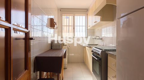 Foto 5 de Planta baixa en venda a Carrer del Porquet, Miramar, Valencia