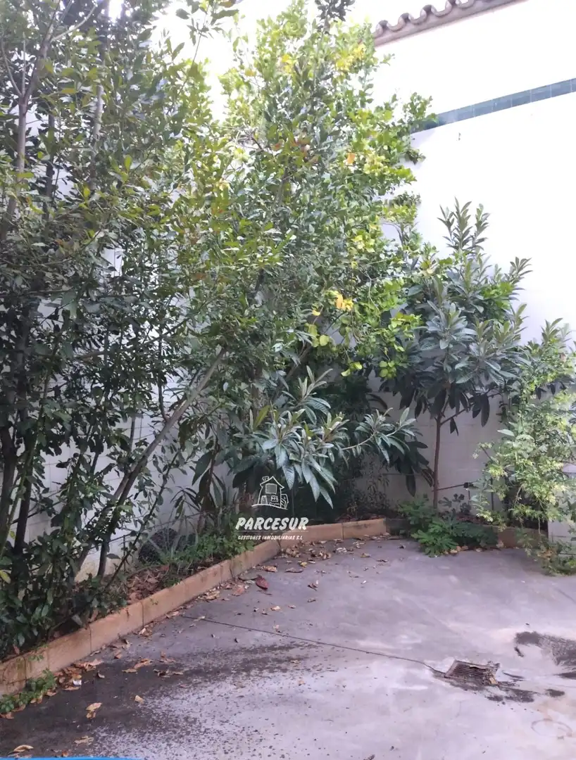 Casa con terrazza in vendita a Montalbán de Córdoba, imagen 14
