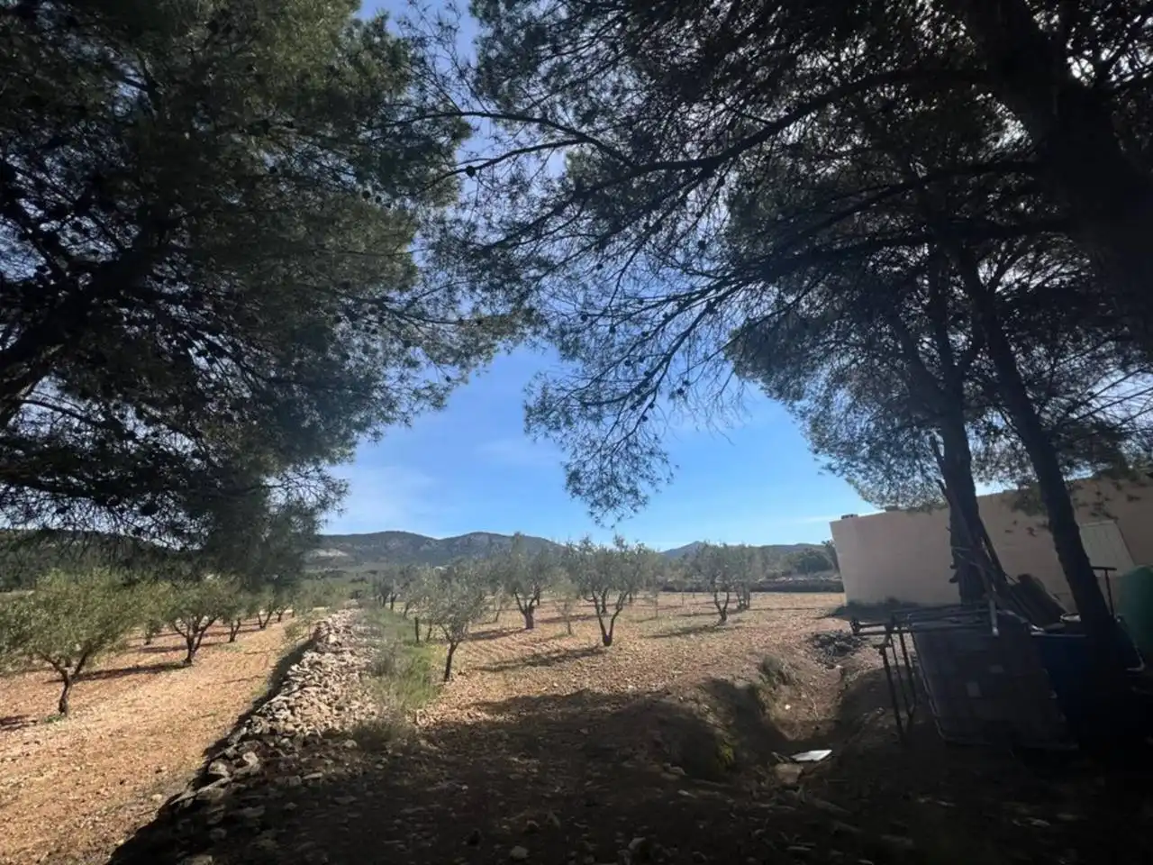 Chalet con jardín en venta en Calle Poligono, imagen 89