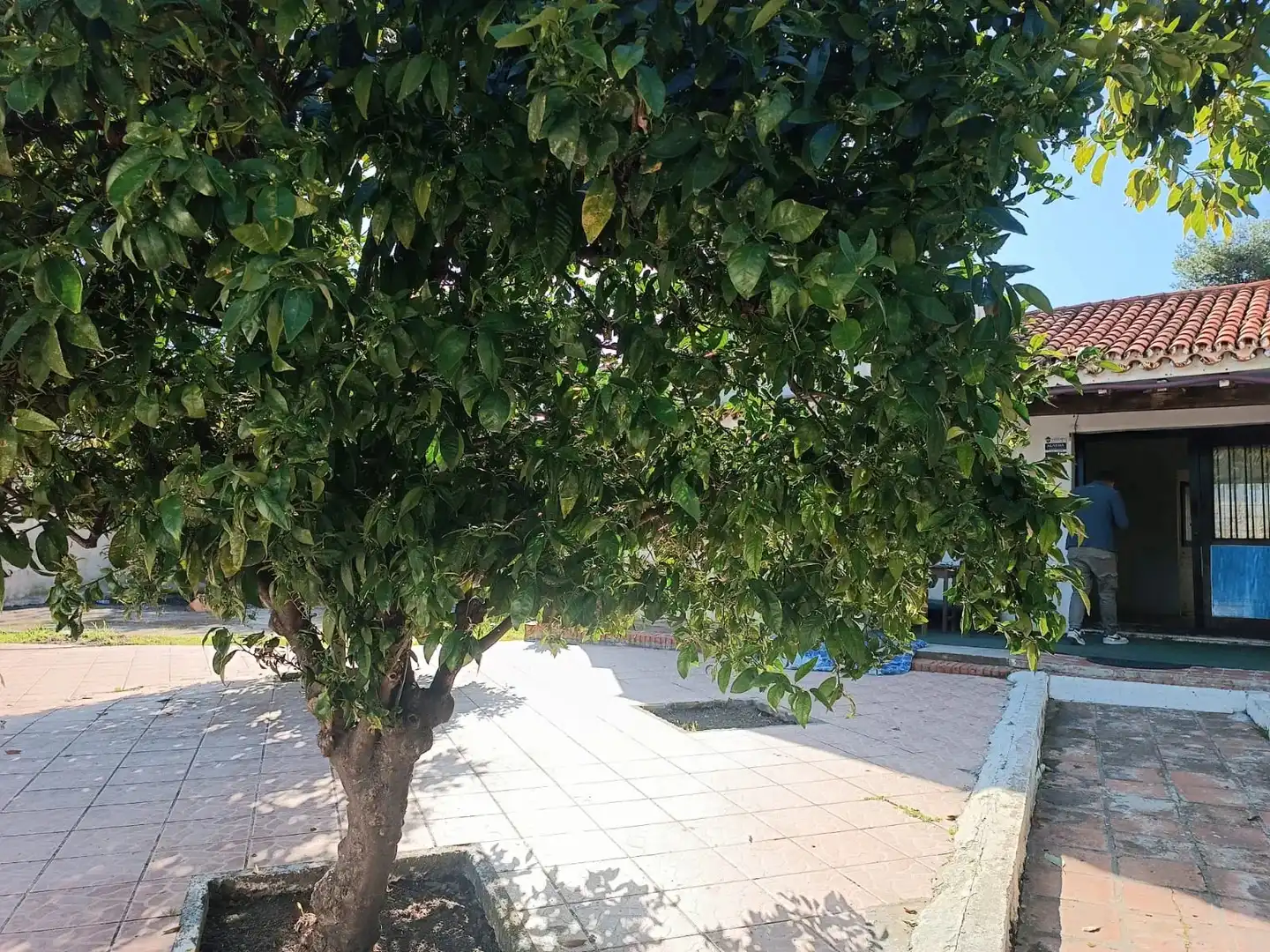 Detached house with garden for sale in Avenida Playa del Sol, imagen 4