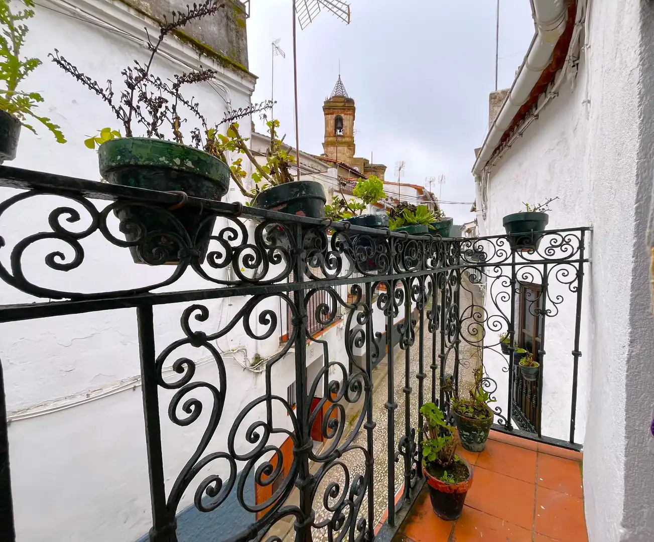 Finca rústica en venta en Calle Martínez Chaparro, 6, Galaroza