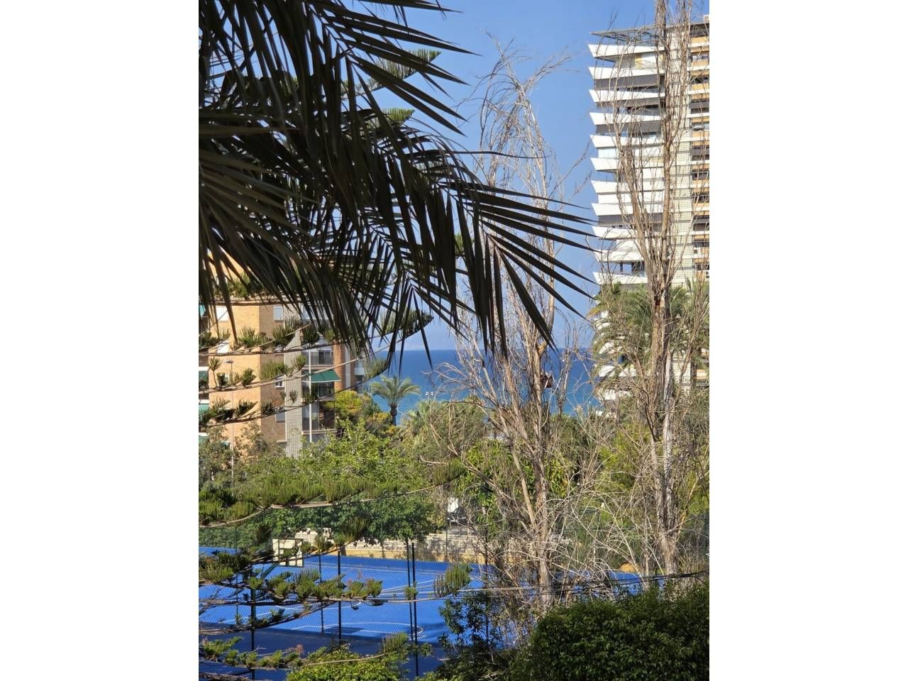 Piscina de Pis de lloguer en Alicante / Alacant amb Aire condicionat, Calefacció i Moblat