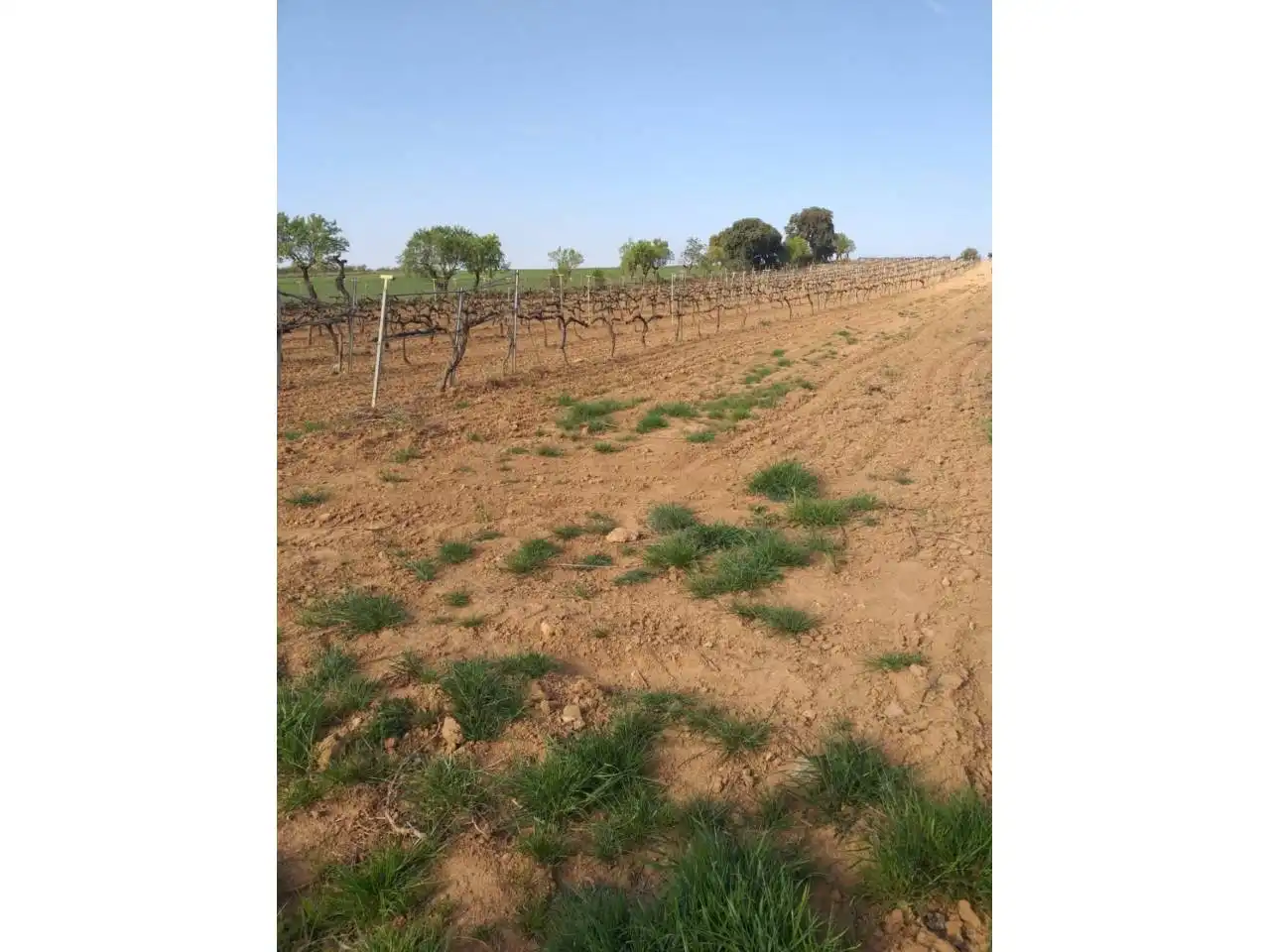 Edificio en venta en Lascellas-Ponzano