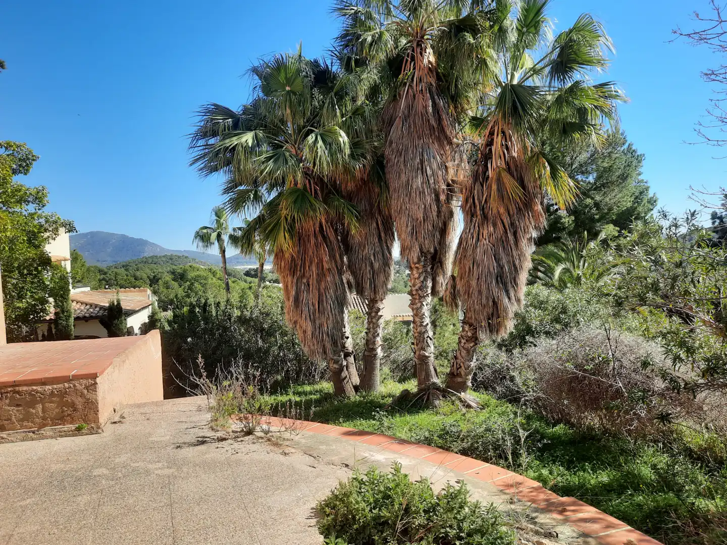 Jardín de Casa o chalet en venta en Calvià con Jardín privado, Terraza y Piscina