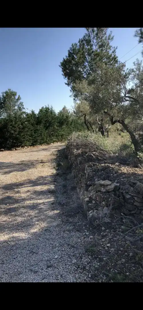 Finca rústica en venda en Vandellòs i l'Hospitalet de l'Infant amb Jardí privat