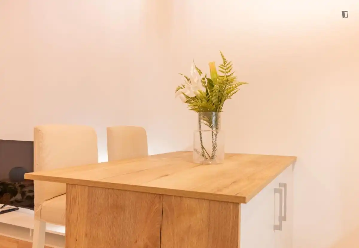 Menjador de Apartament de lloguer en Madrid amb Aire condicionat, Moblat i Rentadora