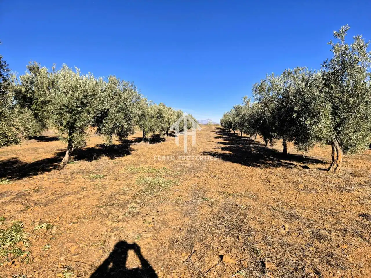 Lands and plots for sale in Lanteira, imagen 32