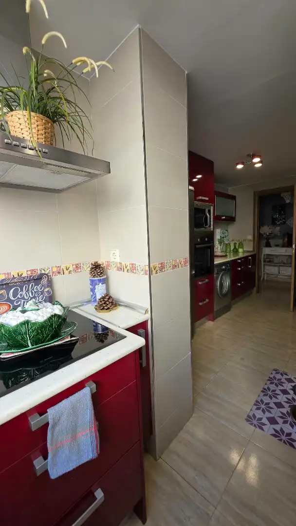 Appartement à vendre à Reyes, imagen 15
