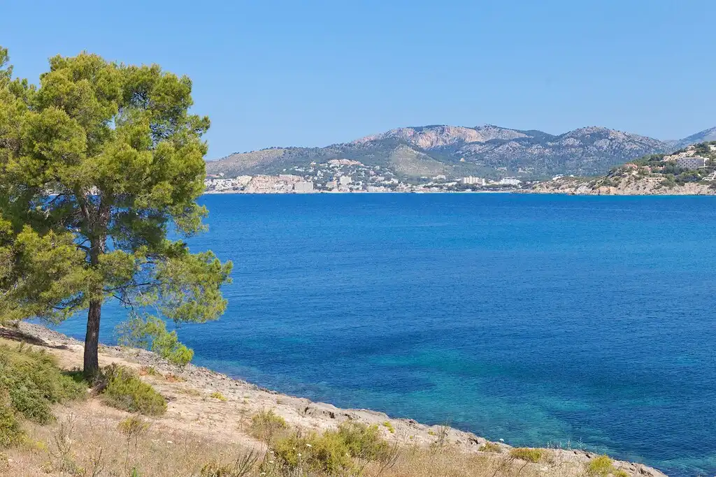 Rural land for sale in Santa Ponça, imagen 15