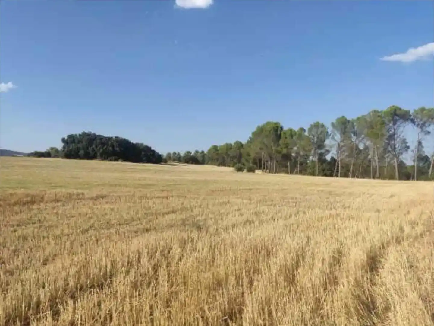 Terreno en venta en Alcocer