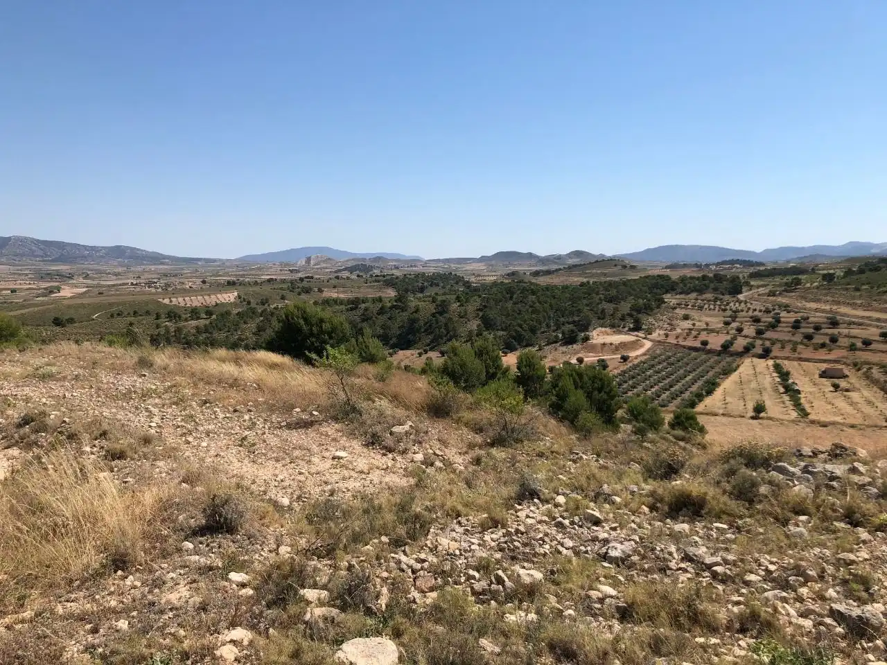 Lands and plots for sale in Abanilla, imagen 4