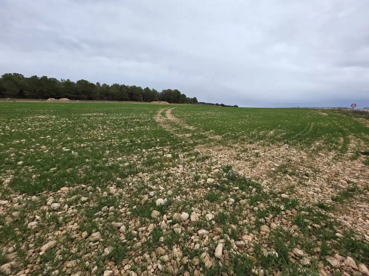 Rural land for sale in Chinchilla de Monte-Aragón, imagen 9