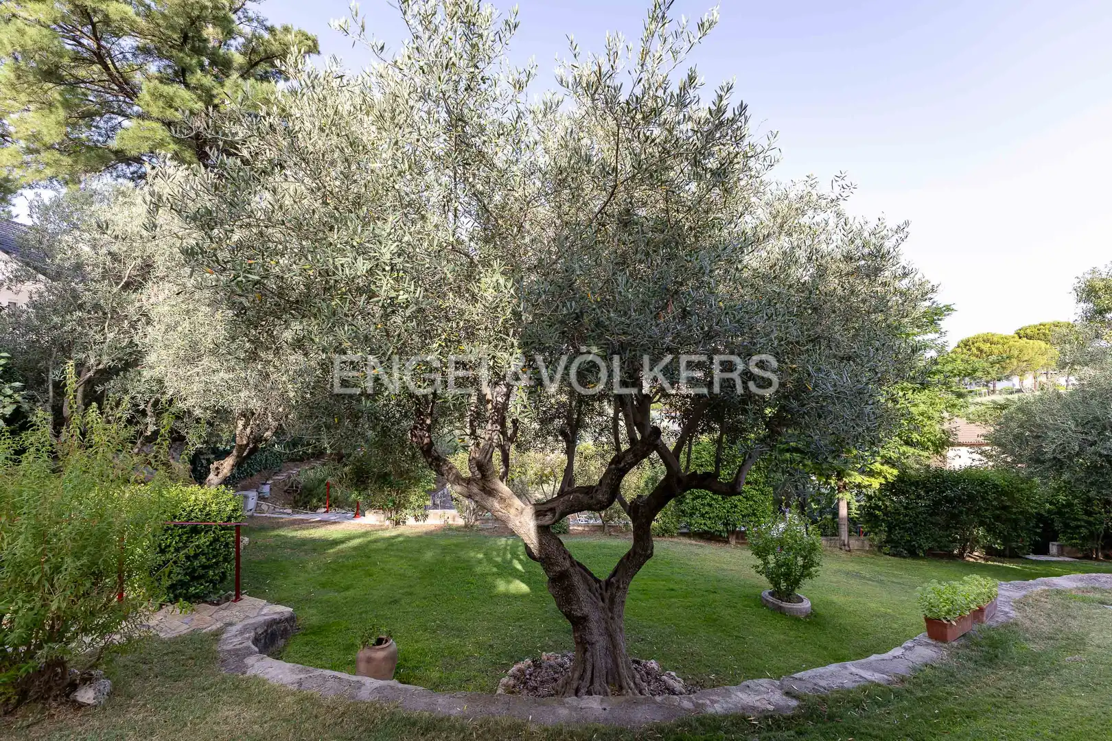 Jardín de Casa o chalet en venta en El Casar con Aire acondicionado, Calefacción y Jardín privado