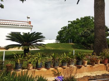 Terreno rustico in vendita a Pueblo