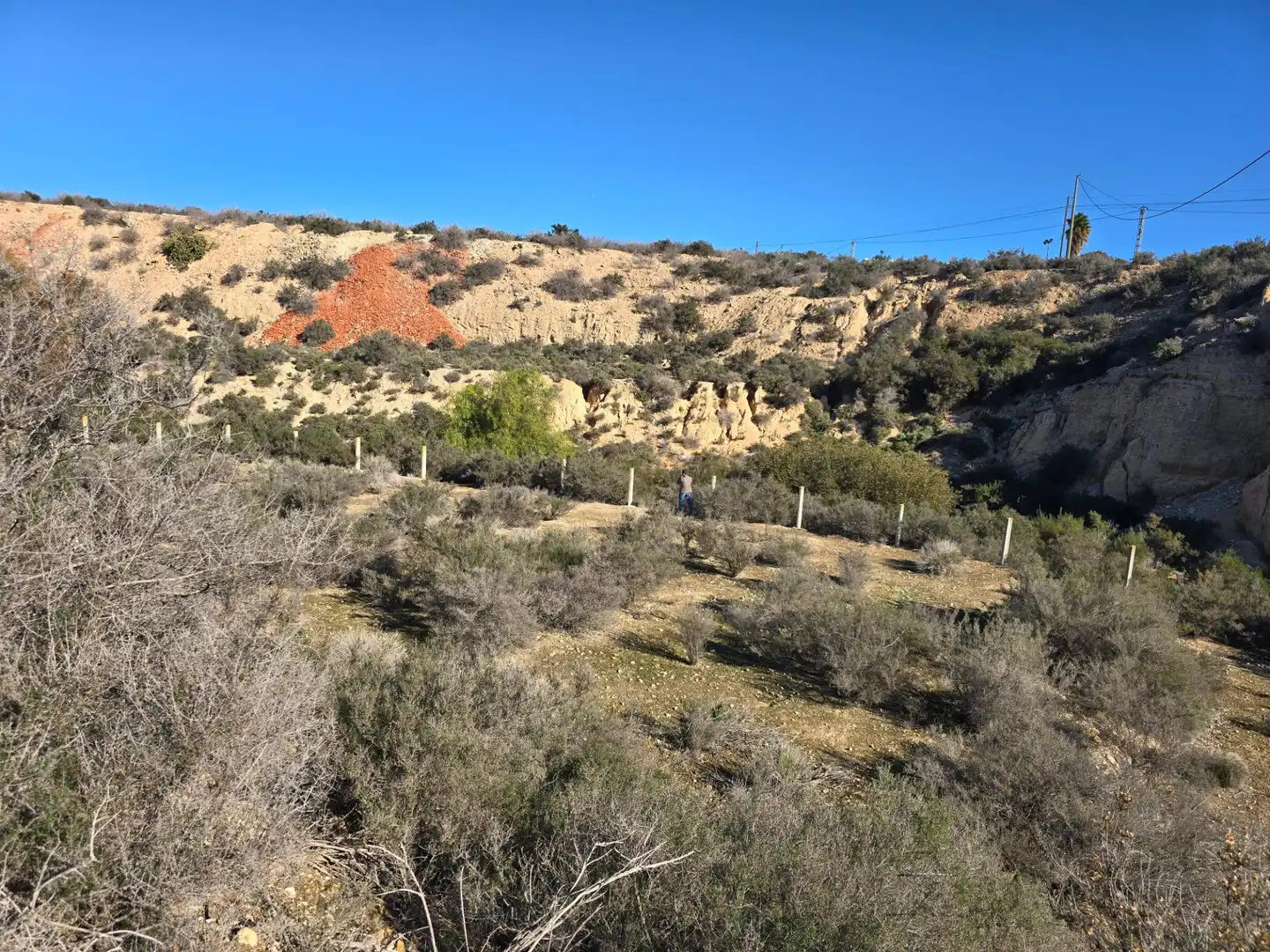 Industrial land for sale in Crevillent, imagen 13