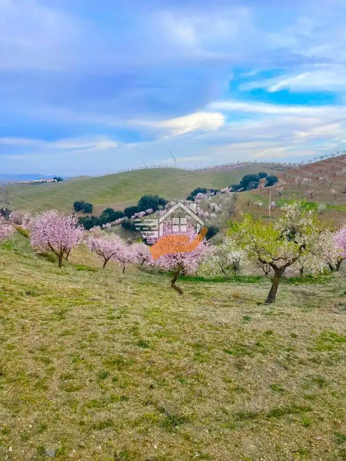 Maison rustique à vendre à Vélez-Rubio, imagen 41