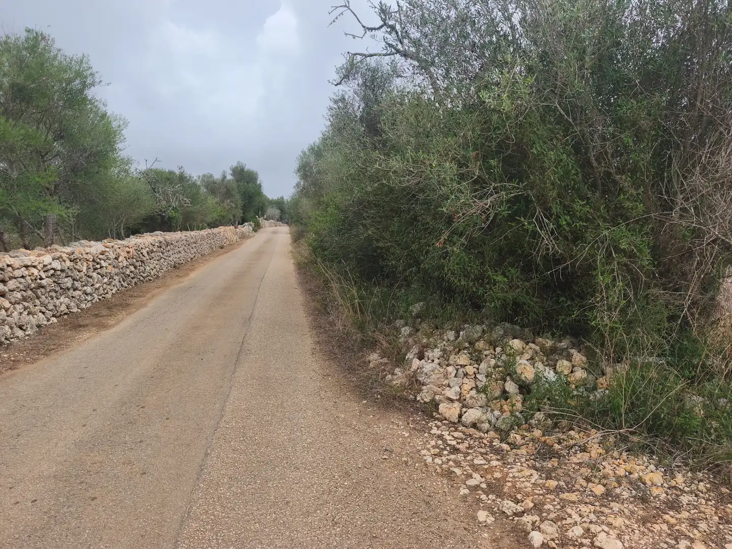 Terreny rústic en venda a Algaida