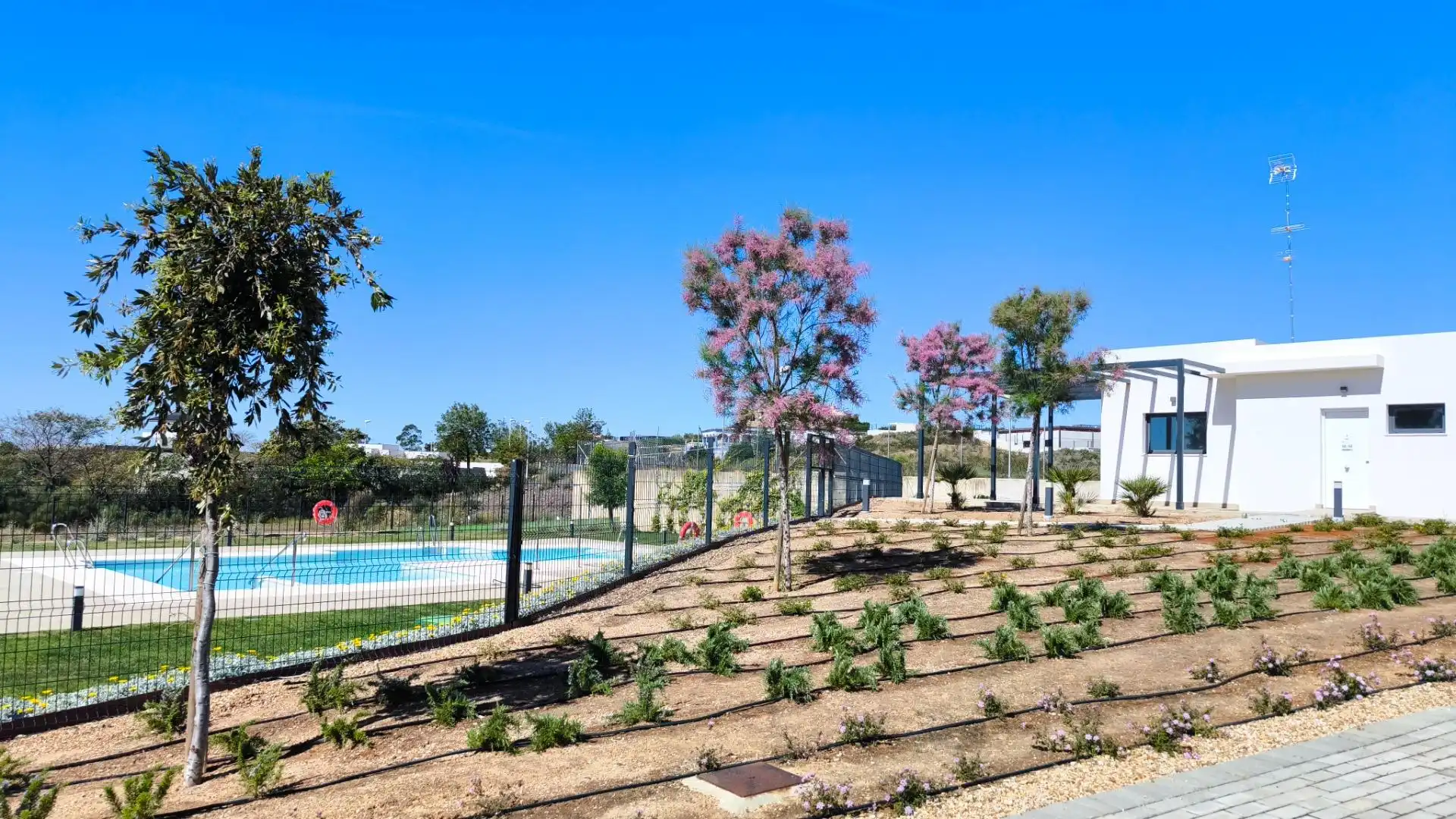 Chalet con piscina en venta en Paseo BLASCO IBAÑEZ, imagen 6