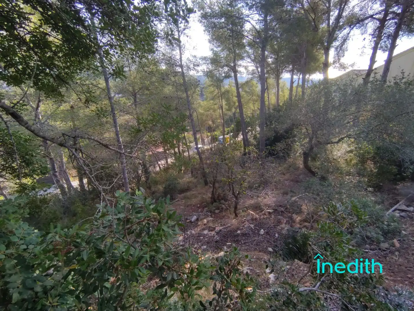Terreny residencial en venda a Carrer Carrer del Crisantem, imagen 16