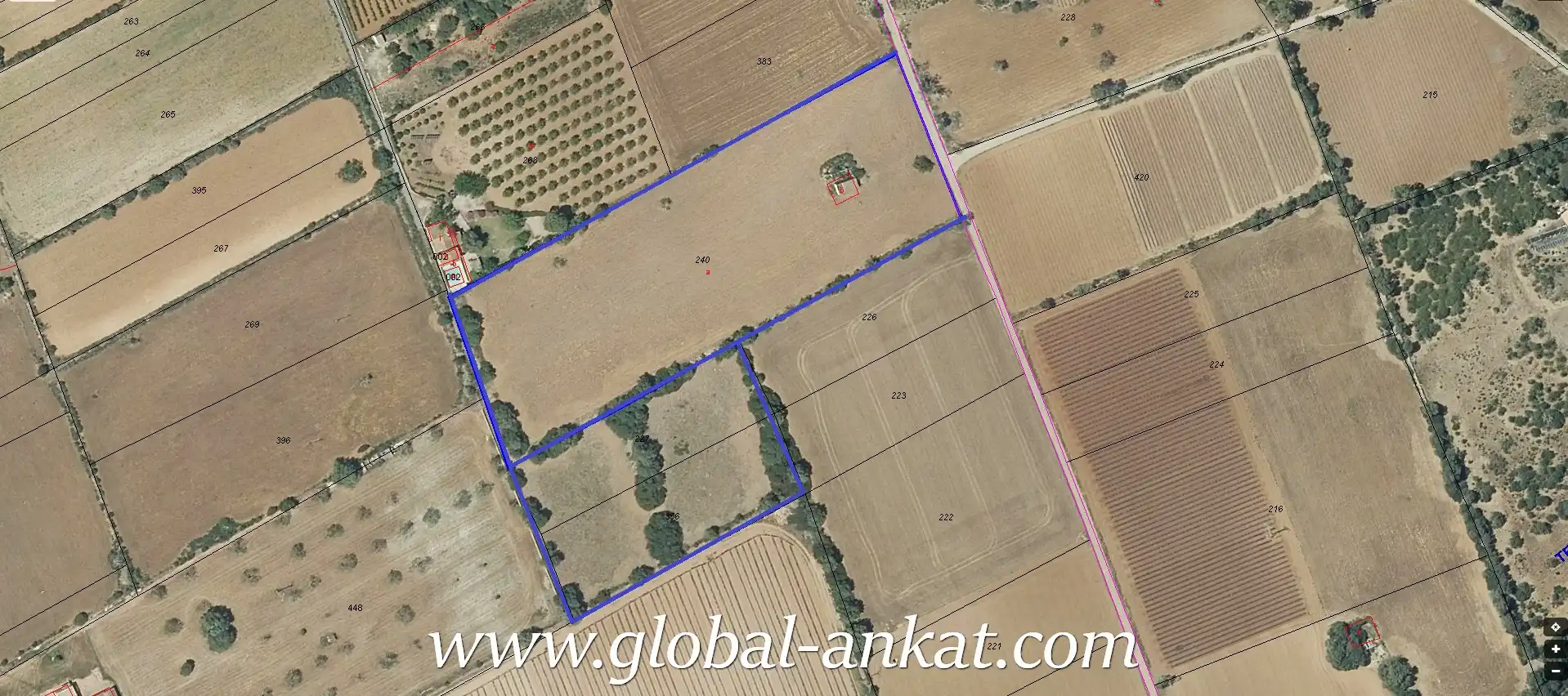 Terreny residencial en venda a Petra, imagen 7