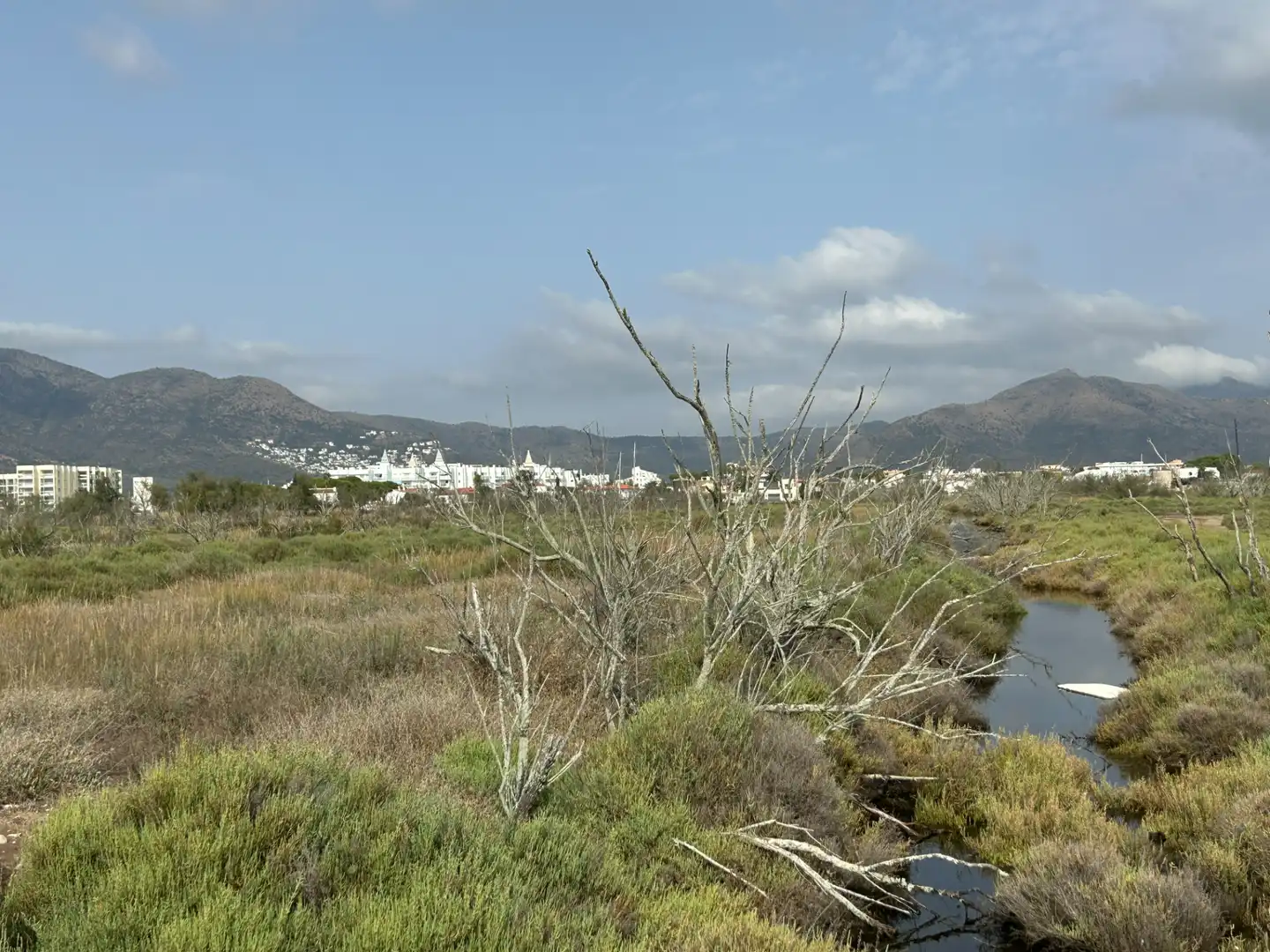 Terreny rústic en venda a Castelló d'Empúries, imagen 6