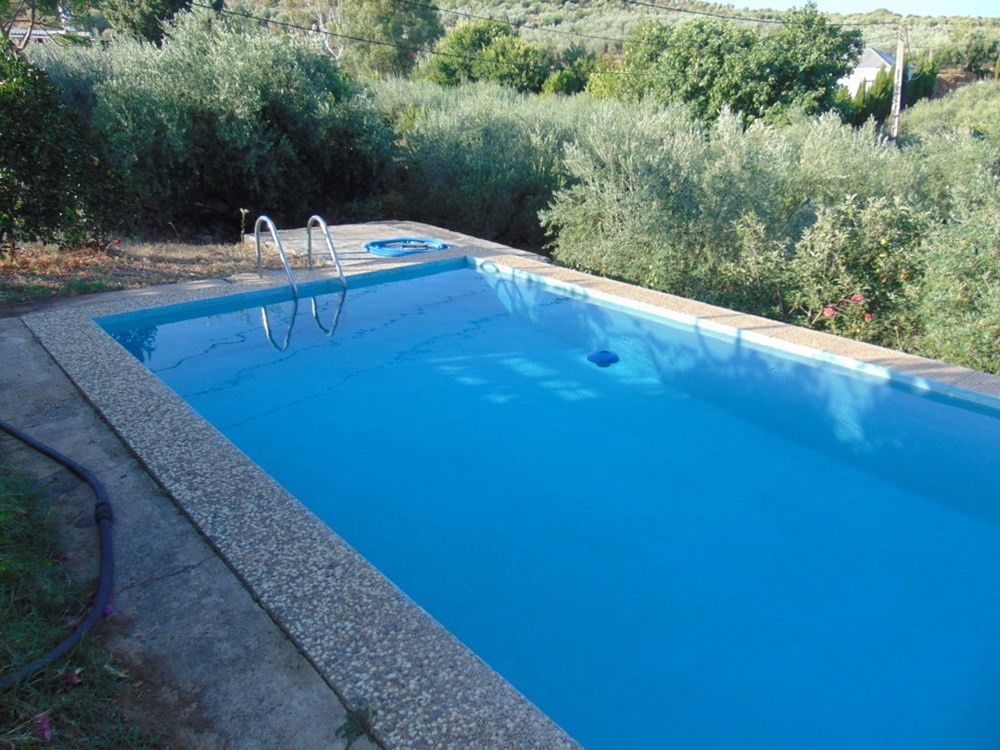 Piscina de Finca rústica en venda en Lora del Río amb Aire condicionat, Calefacció i Terrassa
