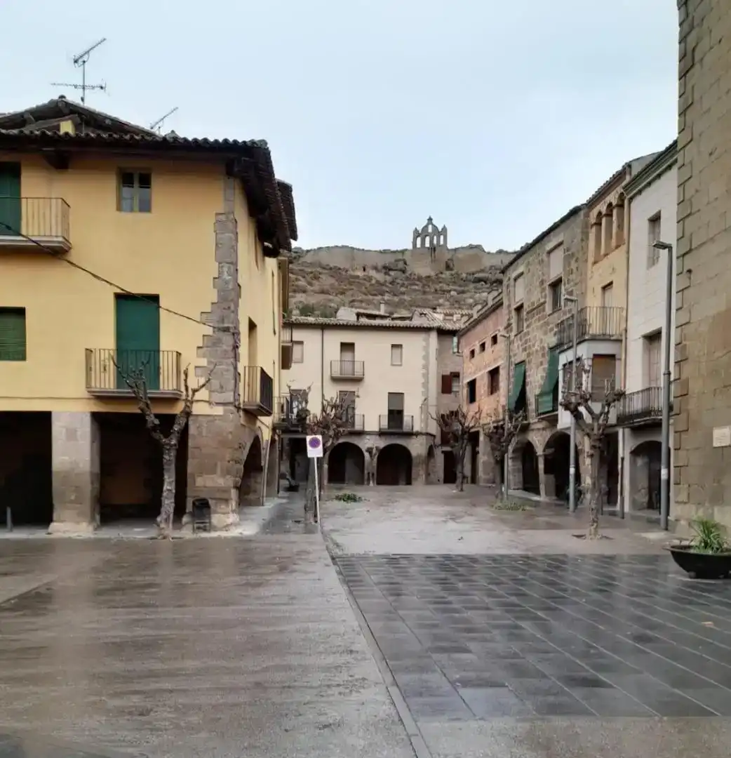 Vista exterior de Pis de lloguer en Sanaüja amb Moblat, Rentadora i Microones